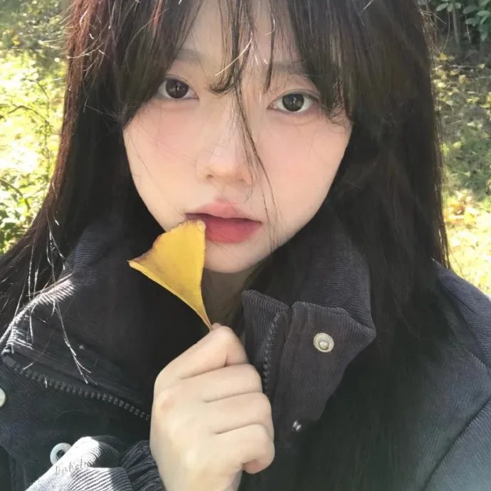 我的美丽王国